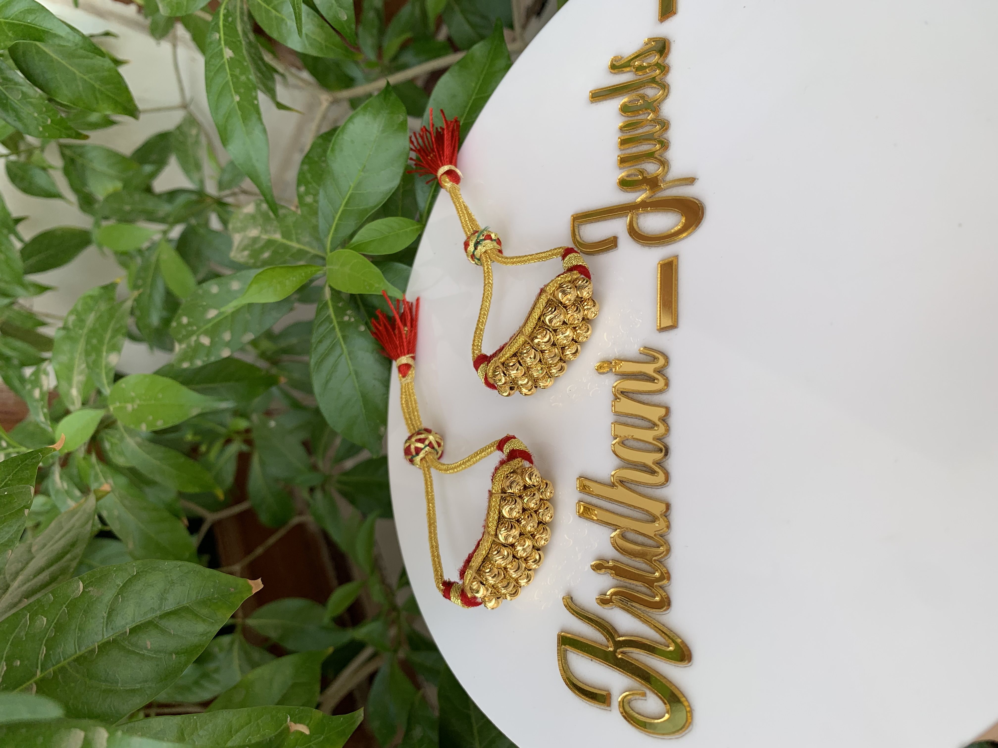 Rajsthani Red Punchi