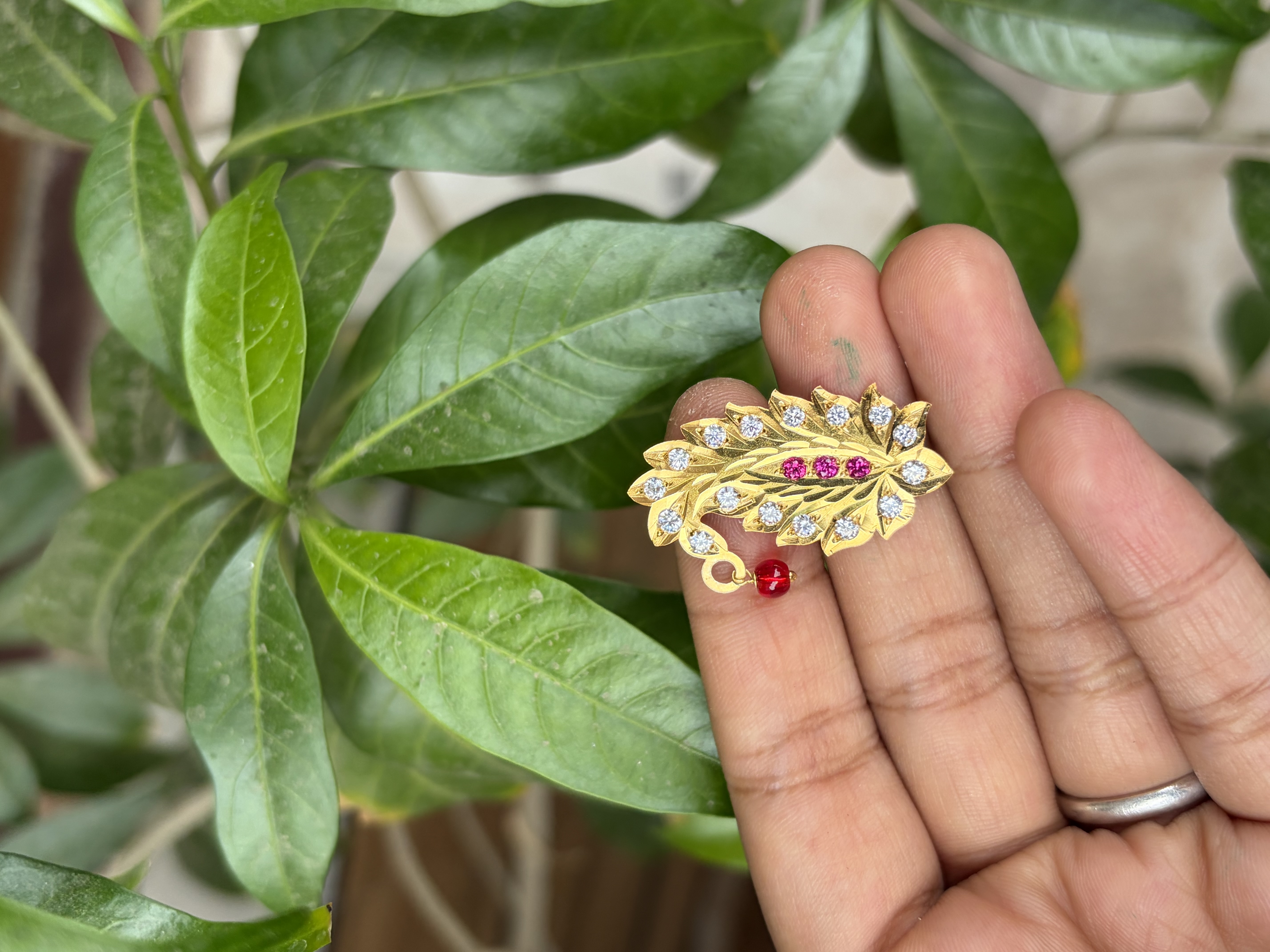silver chandrika